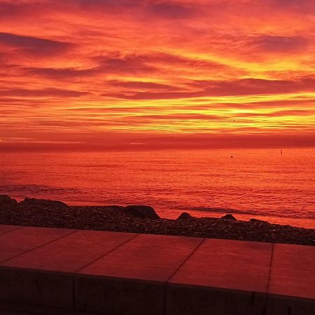 Bel Appartement Les Pieds Dans L'Eau Villeneuve-Loubet Esterno foto