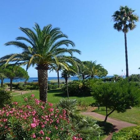 Bel Appartement Les Pieds Dans L'Eau Villeneuve-Loubet Esterno foto