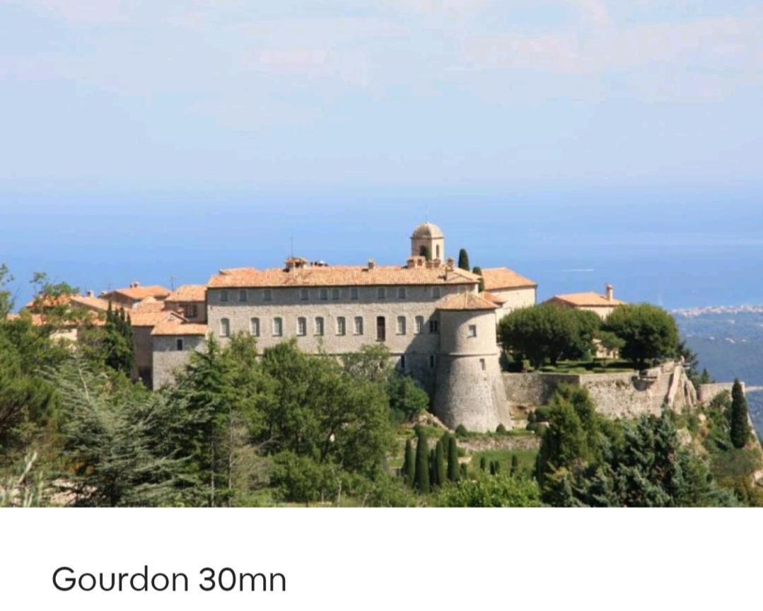 Bel Appartement Les Pieds Dans L'Eau Villeneuve-Loubet Esterno foto