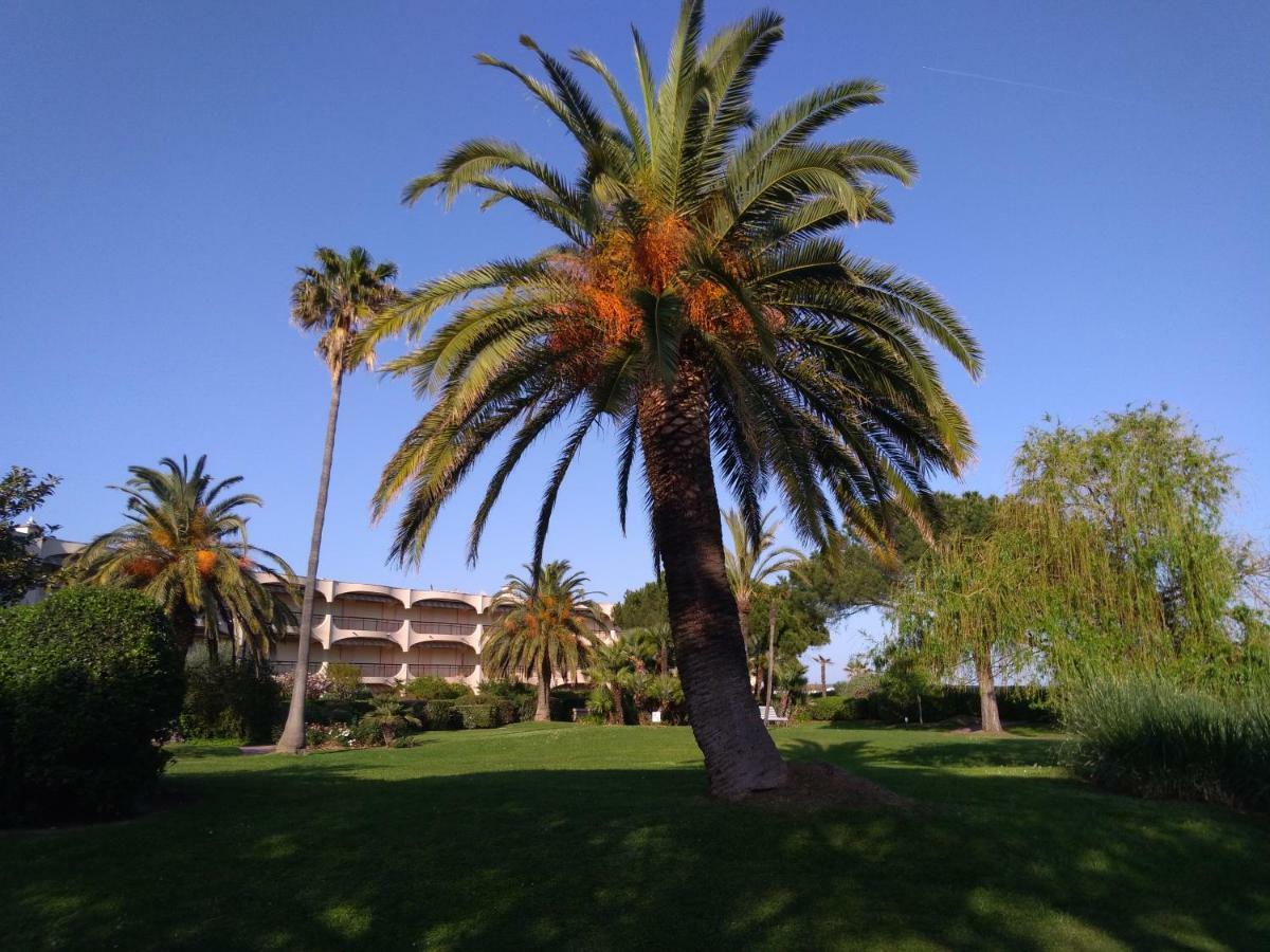 Bel Appartement Les Pieds Dans L'Eau Villeneuve-Loubet Esterno foto
